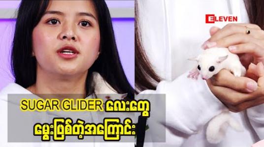 Embedded thumbnail for ဘယ်သွားသွားခေါ်လို့ရတဲ့ SUGAR GLIDER လေးတွေမွေးဖြစ်တဲ့အကြောင်းပြောလာတဲ့ သရုပ်ဆောင် မေသက်ကျော် (ရုပ်သံအစီအစဉ်) 