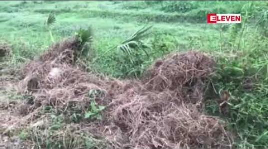 Embedded thumbnail for တောင်ဥက္ကလာပမြို့နယ် ပါရမီဘူတာနှင့် ကန်ဘဲ့ဘူတာကြား ရထားသံလမ်းဘေးတွင် ပုပ်ပွသေဆုံးနေသော မိန်းကလေးငယ်အလောင်း တွေ့ရှိ 