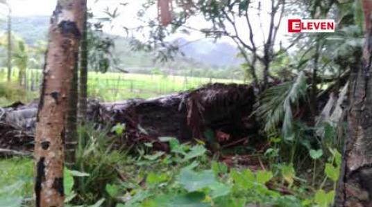 Embedded thumbnail for တနသာင်္ရီတိုင်းဒေသကြီး မြိတ်နှင့်ကျွန်းစုမြို့နယ်ရှိကျေးရွာတစ်ချို့တွင်မိုးသက်လေပြင်းဒဏ်ကြောင့်နေအိမ်များပြိုလဲခဲ့