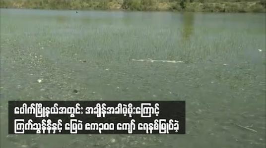 Embedded thumbnail for ပေါက်မြို့နယ်အတွင်း အချိန်အခါမဟုတ် မိုးရွာသွန်းမှုကြောင့် ကြက်သွန်နီနှင့်မြေပဲ ဧက ၃၀၀ ကျော် ရေနစ်မြုပ်