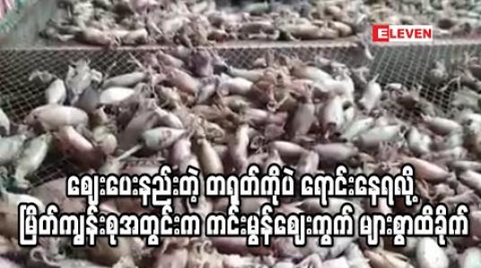 Embedded thumbnail for COVID-19 ကြောင့် ထိုင်းဝယ်လက်ပိတ်လိုက်၍ ဈေးပေးနည်းသည့် တရုတ်ဈေးကွက်သာအားထားနေရမှုကြောင့် မြိတ်ကျွန်းစုအတွင်းရှိကင်းမွန်ဈေးကွက် များစွာထိခိုက် 