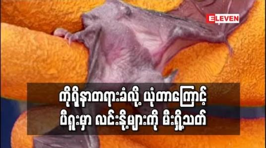 Embedded thumbnail for ကိုရိုနာဗိုင်းရပ်စ်လက်သည်တရားခံဟု ယုံကြည်မှုကြောင့် ပီရူးမြောက်ပိုင်းရှိ ကျေးရွာများတွင် လင်းနို့များကို မီးရှို ့သတ်ဖြတ် 