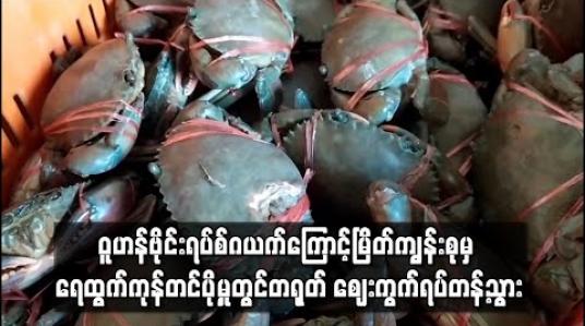 Embedded thumbnail for ဝူဟန်ဗိုင်းရပ်စ်ဂယက်ကြောင့်မြိတ်ကျွန်းစုမှ ရေထွက်ကုန်တင်ပို့မှုတွင်တရုတ် ဈေးကွက်ရပ်တန့်သွား