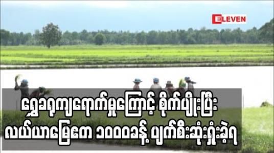 Embedded thumbnail for ရွှေခရုကျရောက်မှုကြောင့် ကန်ကြီးထောင့်မြို့နယ်အတွင်းရှိ စိုက်ပျိုးပြီး လယ်ယာမြေဧက ၁၀၀၀ခန့် ပျက်စီးဆုံးရှုံးခဲ့ရ 