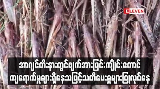 Embedded thumbnail for အာဂျင်တီးနားတွင် ဖျက်အားပြင်း ကျိုင်းကောင်ကျရောက်မှုများရှိနေသဖြင့်သတိပေးမှုများပြုလုပ်နေ (ရုပ်သံ)