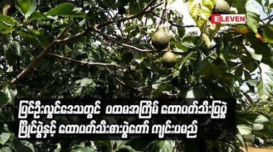 Embedded thumbnail for ပြင်ဦးလွင်ဒေသတွင်  ပထမအကြိမ်အဖြစ် ထောပတ်သီးပြပွဲ ပြိုင်ပွဲ နင့်ထောပတ်သီးစားပွဲတော် ကျင်းပမည်
