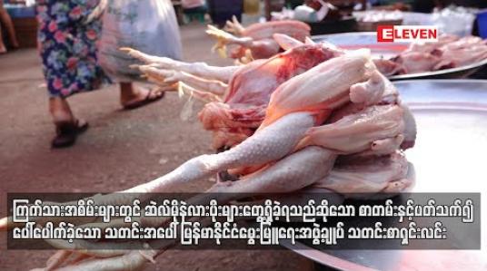Embedded thumbnail for ကြက်သားအစိမ်းများတွင် ဆဲလ်မိုနဲလားပိုးများတွေ့ရှိခဲ့ရသည်ဆိုသော စာတမ်းနှင့်ပတ်သက်ပြီး ပေါ်ပေါက်ခဲ့သောသတင်းအပေါ် မြန်မာနိုင်ငံမွေးမြူရေးအဖွဲ့ချုပ်သတင်းစာရှင်းလင်း (ရုပ်သံ) 