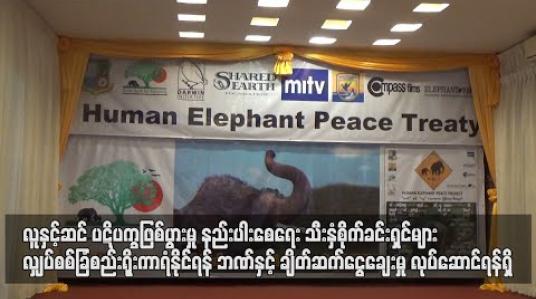 Embedded thumbnail for လူနှင့်ဆင် ပဋိပက္ခဖြစ်ပွားမှု နည်းပါးစေရေး သီးနှံစိုက်ခင်းရှင်များ လျှပ်စစ်ခြံစည်းရိုးကာရံနိုင်ရန် ဘဏ်နှင့်ချိတ်ဆက်ငွေချေးမှု လုပ်ဆောင်ရန်ရှိ 