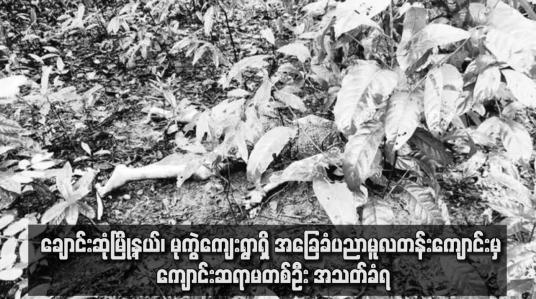 Embedded thumbnail for ချောင်းဆုံမြို့နယ်၊ မုကွဲကျေးရွာရှိ အခြေခံပညာမူလတန်းကျောင်းမှ ကျောင်းဆရာမတစ်ဦး အသတ်ခံရ