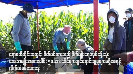 Embedded thumbnail for ဧရာဝတီတိုင်းအတွင်း ပိတ်ပင်ထားသည့် စိုက်ပျိုးရေးလုပ်ငန်းသုံး ဆေးအမျိုးအစားပေါင်း ၅၀ အား ဆိုင်များတွင် ရောင်းချမှုများ မရှိစေရန် လိုက်လံစစ်ဆေးနေ  