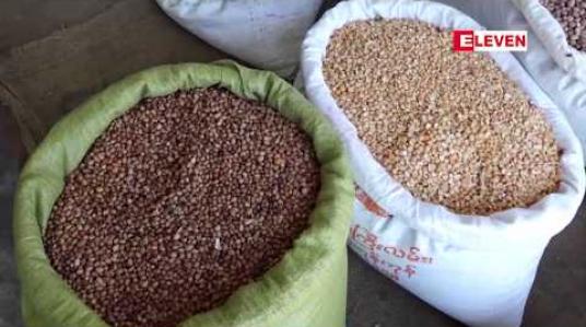 Embedded thumbnail for မန္တလေးကုန်စည်ဒိုင်ဈေးကွက်တွင် ပေါ်ဦးပေါ်ဖျားနှမ်းနက်များ ယမန်နှစ်ထက် အဖွင့်ဈေးကောင်းရနေ