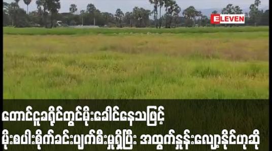 Embedded thumbnail for တောင်ငူခရိုင်တွင်မိုးခေါင်နေခြင်းကြောင့် မိုးစပါးစိုက်ခင်းများပျက်စီးမှုရှိပြီး အထွက်နှုန်း ထိခိုက်နိုင်ဟုဆို 