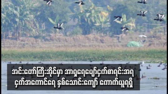 Embedded thumbnail for အင်းတော်ကြီးအိုင်မှာ အာရှရေပျော်ငှက်စာရင်းအရ ငှက်အကောင်ရေ နှစ်သောင်းကျော် ကောက်ယူရရှိ