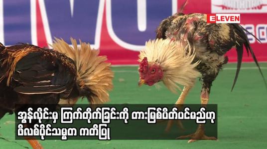 Embedded thumbnail for အွန်လိုင်းမှ ကြက်တိုက်ခြင်းကို တားမြစ်ပိတ်ပင်မည်ဟု ဖိလစ်ပိုင်သမ္မတ ကတိပြု