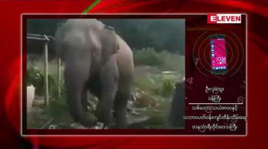 Embedded thumbnail for ဘုတ်ပြင်းမြို့နယ်အတွင်း ကျေးရွာတစ်ချို့တွင် တောဆင်ရိုင်းများကြောင့် လူသေဆုံးမှုများ ဖြစ်ပေါ်နေပြီး တိုင်းအစိုးရအဖွဲ့မှ ထိန်းသိမ်းဖြေရှင်းပေးရန် ဒေသခံများ တောင်းဆို