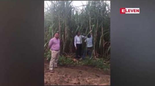 Embedded thumbnail for ယခုနှစ် ကြံခုတ်ရာသီတွင် မနှစ်ကထက် ကြံစျေးတစ်တန် ကျပ် ၅၀၀၀ ခန့် သကြားစက်ရုံများက စျေးလျှော့ဝယ်ယူ 