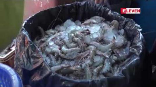 Embedded thumbnail for ဘင်္ဂလားဒေ့ရှ်နိုင်ငံ ရွေးကောက်ပွဲကာလအတွင်း ဆိပ်ကမ်းများ ပိတ်ထားသဖြင့်သုံးရက်ကြာ ကုန်သွယ်မှု ယာယီရပ်တန့်နေသည့် မောင်တောနယ်စပ်ပို့ကုန် တင််ပို့မှု ပြန်လည်စတင်