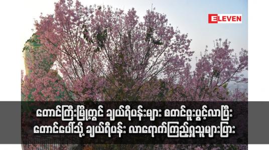 Embedded thumbnail for တောင်ကြီးမြို့တွင် ချယ်ရီပန်းများ စတင်ဖူးပွင့်လာပြီး တောင်ပေါ်သို့ ချယ်ရီပန်း လာရောက်ကြည့်ရှုသူ များပြား