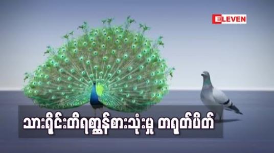 Embedded thumbnail for သားရိုင်းတိရစ္ဆာန်စားသုံးမှု တရုတ်ပိတ် 