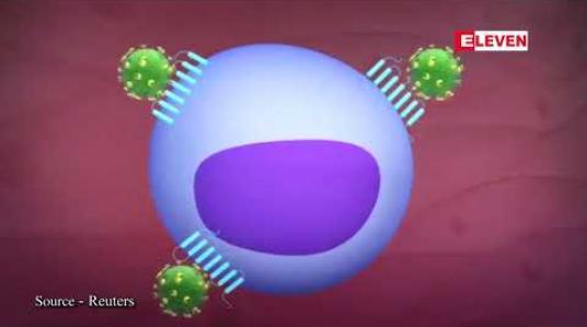 Embedded thumbnail for လန်ဒန်ရှိ HIV ရောဂါရှိအမျိုးသားလူနာတစ်ဦးကို အလှူရှင်တစ်ဦးထံမှ ရိုးတွင်းခြင်ဆီဖြင့် အစားထိုး ကုသပြီး နောက် ရောဂါပိုးကင်းရှင်းသွားခဲ့