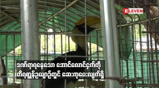 Embedded thumbnail for ဒဏ်ရာရနေသော အောင်လောင်ငှက်ကို တိရစ္ဆာန်ဥယျာဉ်တွင် ဆေးကုပေးလျက်ရှိ 