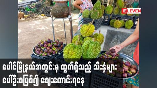 Embedded thumbnail for ပေါင်မြို့နယ်အတွင်းမှ ထွက်ရှိသည့် သီးနှံများ ပေါ်ဦးစဖြစ်၍ ဈေးကောင်းရနေ