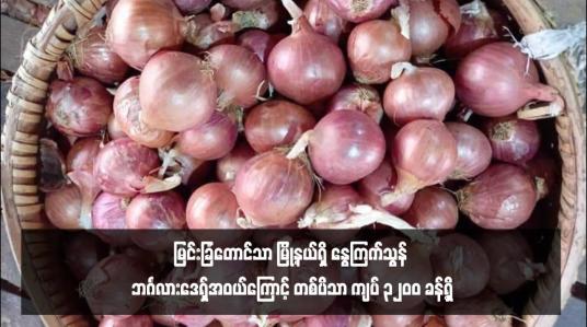 Embedded thumbnail for မြင်းခြံတောင်သာ မြို့နယ်ရှိ နွေကြက်သွန် ဘင်္ဂလားဒေရှ်အဝယ်ကြောင့် တစ်ပိသာ ကျပ် ၃၂၀၀ ခန့်ရှိ