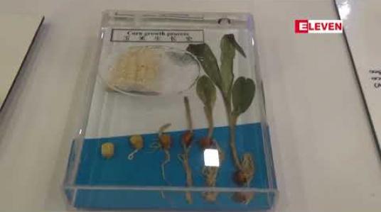 Embedded thumbnail for စာသင်ကြားရာတွင် အသုံးပြုနိုင်မည့် သင်ထောက်ကူပစ္စည်းများပြပွဲပြုလုပ်