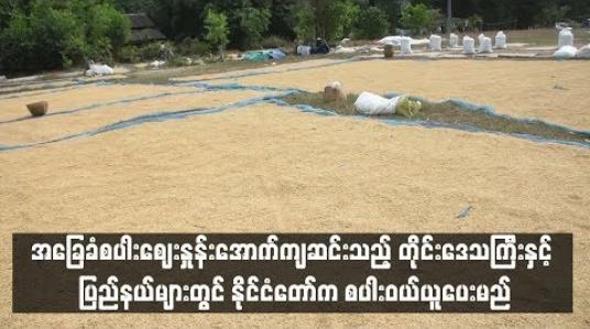 Embedded thumbnail for  အခြေခံစပါးစျေးနှုန်းအောက်ကျဆင်းသည့် တိုင်းဒေသကြီးနှင့် ပြည်နယ်များတွင် နိုင်ငံတော်က စပါးဝယ်ယူပေးမည် (ရုပ်သံ)