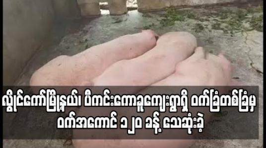 Embedded thumbnail for လွိုင်ကော်မြို့နယ်၊ ပီကင်းကောခူကျေးရွာရှိ ဝက်ခြံတစ်ခြံမှ ဝက်အကောင် ၁၂၀ ခန့် သေဆုံးခဲ့ (ရုပ်သံ) 