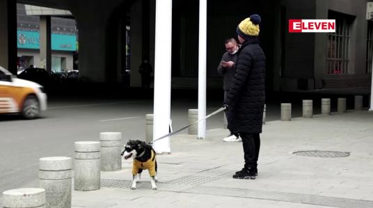 Embedded thumbnail for တရုတ်နိုင်ငံတွင် ကိုရိုနာဗိုင်းရပ်စ် ကူးစက်နိုင်ခြေများသည့် အုပ်စုများကို ဦးစားပေးအနေဖြင့် ကာကွယ်ဆေး ထိုးနှံပေးမည်