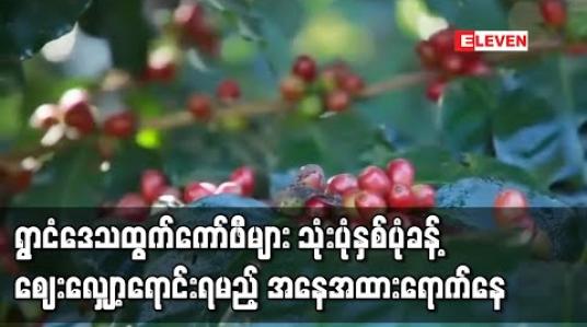 Embedded thumbnail for vရွာငံဒေသထွက်ကမ္ဘာ့တန်းဝင် ကော်ဖီများကို ပြည်ပ တင်ပို့ခွင့်မရသဖြင့် သုံးပုံနှစ်ပုံ ခန့် ဈေးလျော့ ရောင်းချရမည့် အနေအထား ရောက်နေ
