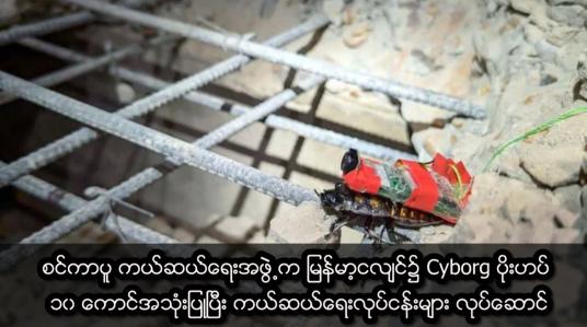 Embedded thumbnail for စင်ကာပူ ကယ်ဆယ်ရေးအဖွဲ့က မြန်မာ့ငလျင်၌ Cyborg ပိုးဟပ် ၁၀ ကောင်အသုံးပြု 