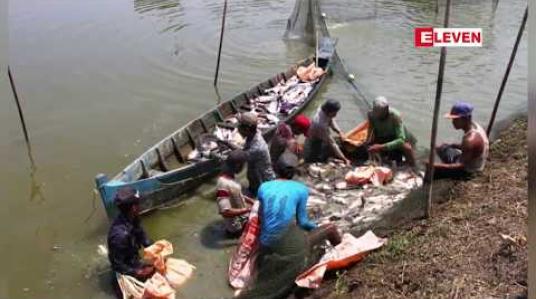 Embedded thumbnail for သုံးနှစ်တာအတွင်း ငါး၊ပုဇွန်စာ ကုန်ကြမ်းစျေးအမြင့်ဆုံးသို့ရောက်နေပြီး ကုန်ကြမ်းရှားပါးနေဟု လုပ်ငန်းရှင် များပြော (ရုပ်သံ)