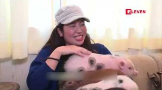 Embedded thumbnail for ဝက်ချစ်သူများအတွက် Pig Café ဆိုင်ကို တိုကျိုမြို့တွင် ပထမဆုံးဖွင့်လှစ် 