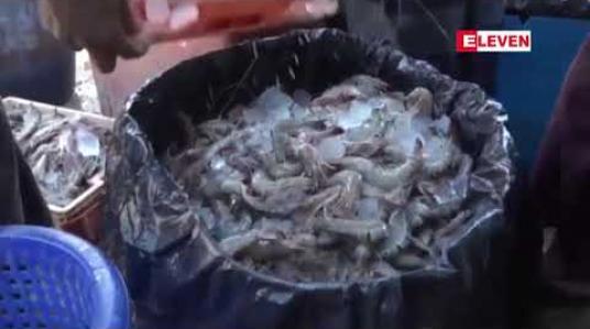 Embedded thumbnail for ၁၆ ရက်အတွင်း မောင်တောနယ်စပ်မှ ဘင်္ဂလားဒေ့ရှ်သို့ ငါးမြစ်ချင်းတန် ၁၄၀ ကျော်တင်ပို့ခဲ့ပြီး အမေရိကန် ဒေါ်လာ ၁၃၀၀၀၀ ကျော်ရရှိထား 