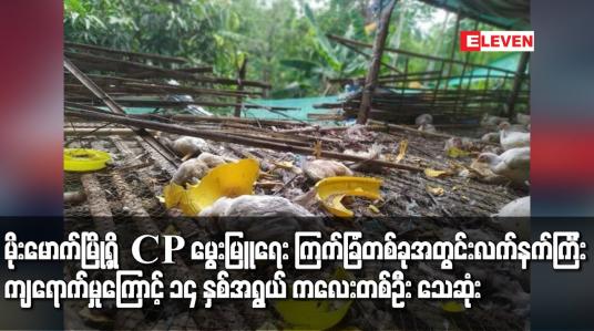 Embedded thumbnail for မိုးမောက်မြို့ရှိ CP မွေးမြူရေး ကြက်ခြံတစ်ခုအတွင်း လက်နက်ကြီး ကျရောက်မှုကြောင့် ၁၄ နှစ်အရွယ် ကလေးတစ်ဦး သေဆုံး