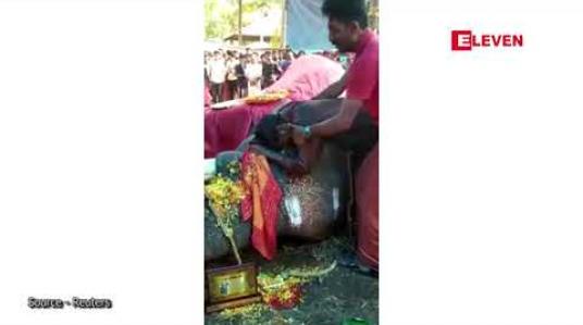 Embedded thumbnail for အိန္ဒိယတွင်ဆင်ထိန်းတစ်ဦး ၄င်းဆယ်နှစ်နီးပါးထိန်းကျောင်းလာသည့် ဆင်ကြီး သေဆုံးသွားသည့်အတွက် ဝမ်းနည်းပက်လက် ငိုကြွေးခဲ့ 