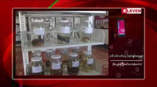 Embedded thumbnail for မိုးယွန်းကြီးအင်း သဘာဝဘေးမဲ့တောသို့ ဆောင်းခိုငှက်အချို့ စတင်ဝင်ရောက်နေပြီး အအေးဓါတ် နည်းသေးသဖြင့် ရှားပါးဆောင်းခိုငှက်များ ကျရောက်မှုနည်းပါးနေ