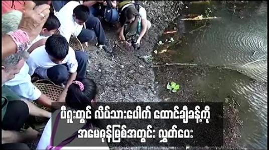 Embedded thumbnail for ပီရူးတွင် တာရီကာယာ လိပ်သားပေါက် အကောင်ရေ ထောင်ချီကို အမေဇုန်မြစ်အတွင်း လွှတ်ပေးခဲ့