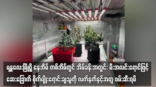 Embedded thumbnail for မန္တလေးမြို့ရှိ နေအိမ် တစ်အိမ်တွင် အိမ်ခန်းအတွင်း မီးအလင်းရောင်ဖြင့် ဆေးခြောက် စိုက်ပျိုးရောင်းချသူကို လက်နက်နှင့် အတူ ဖမ်းဆီးရမိ (ရုပ်သံ)