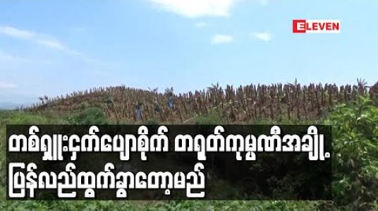 Embedded thumbnail for တစ်ရှူးငှက်ပျောစိုက် တရုတ်ကုမ္ပဏီအချို့ ပြန်လည်ထွက်ခွာတော့မည်