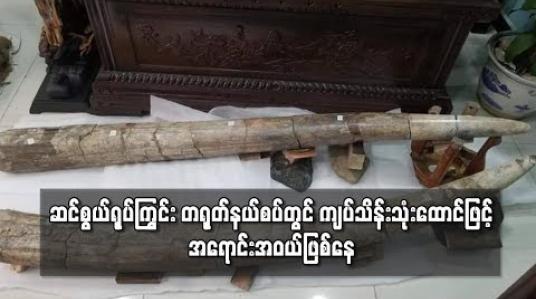 Embedded thumbnail for မြန်မာ့နိုင်ငံမှ ဆယ်စွယ်ရုပ်ကြွင်း တရုတ်နိုင်ငံနယ်စပ်မှာ  ကျပ်သိန်းသုံးထောင်ဖြင့် အရောင်းအဝယ် ဖြစ်ပြီး တန်ဖိုးဆက်လက်မြင့်နေ