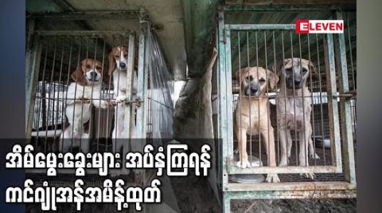 Embedded thumbnail for အိမ်မွေးခွေးများအပ်နှံကြဖို့မြောက်ကိုရီးယားခေါင်းဆောင် ကင်ဂျုံအန်အမိန့်ထုတ် 