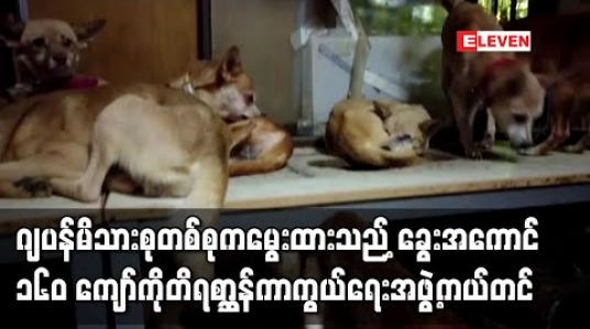 Embedded thumbnail for ဂျပန်မိသားစုတစ်စုကမွေးထားသည့် ခွေးအကောင် ၁၆၀ ကျော်ကို တိရစ္ဆာန်ကာကွယ်ရေးအဖွဲ့ကယ်တင် 