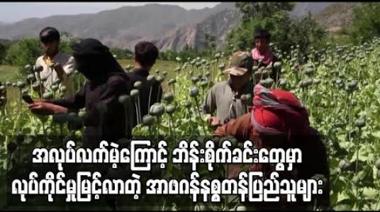 Embedded thumbnail for ကိုရိုနာဗိုင်းရပ်စ်နှင့်ပဋိပက္ခများကြောင့် အလုပ်အကိုင်မဲ့ အာဖဂန်နစ္စတန်ပြည်သူများ ဘိန်းစိုက်ခင်းများတွင် အလုပ်လုပ်မှုမြင့်တက် 