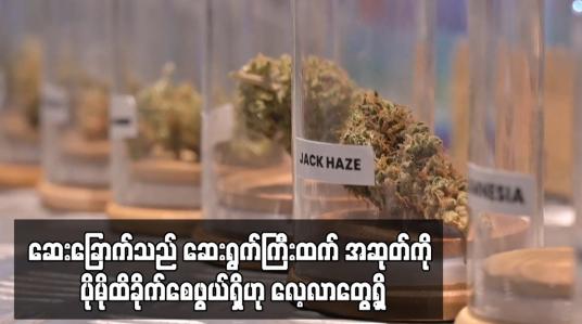 Embedded thumbnail for ဆေးခြောက်သည် ဆေးရွက်ကြီးထက် အဆုတ်ကို ပိုမိုထိခိုက်စေဖွယ်ရှိဟု လေ့လာတွေ့ရှိ