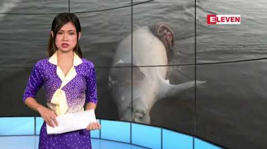 Embedded thumbnail for ဒီဇင်ဘာလ ၆ ရက်နေ့ နေ့လယ်ခင်း သတင်းအစီအစဉ် 
