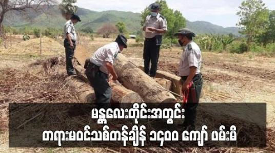 Embedded thumbnail for COVID-19 ကူးစက်ကာလ ဖြစ်ပွားနေချိန် မန္တလေးတိုင်းအတွင်း တရားမဝင်သစ် တန်ချိန် ၁၄၀၀ ကျော် ဖမ်းမိ