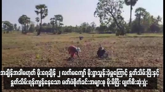 Embedded thumbnail for တောင်ငူခရိုင်တွင် အချိန်အခါမဟုတ် မိုးရွာသွန်းခဲ့မှုကြောင့် မတ်ပဲစိုက်ခင်းအများစု ပျက်စီးဆုံးရှုံး